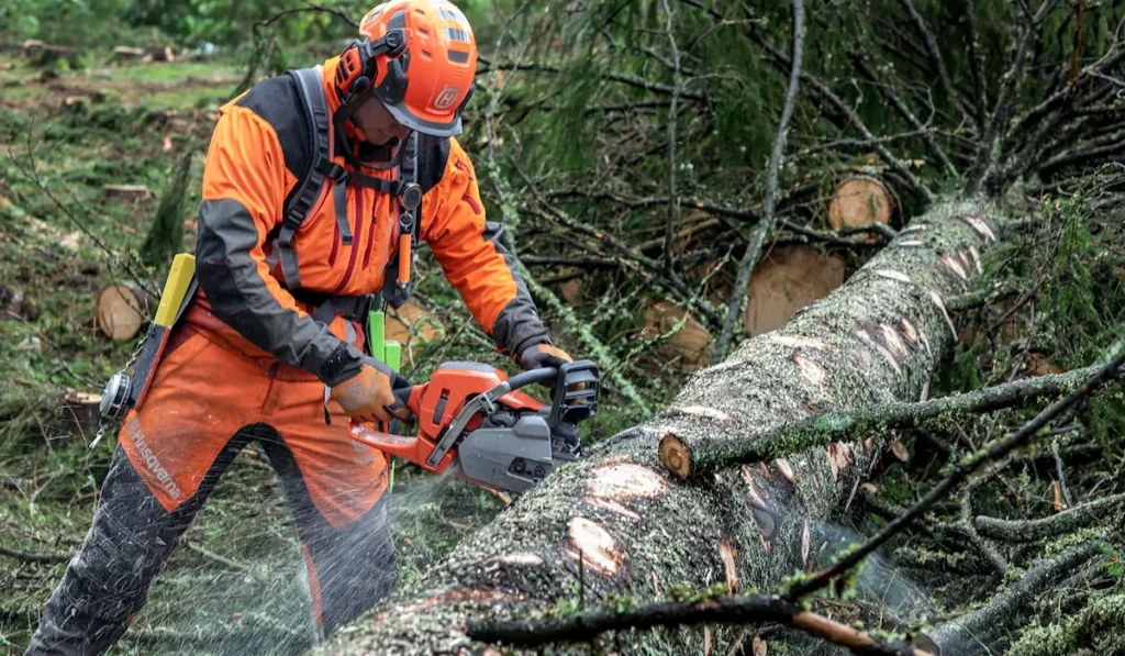 Homme tronçonnant un arbre